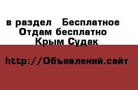  в раздел : Бесплатное » Отдам бесплатно . Крым,Судак